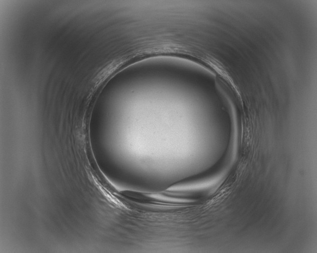 X0000052600389200507011202