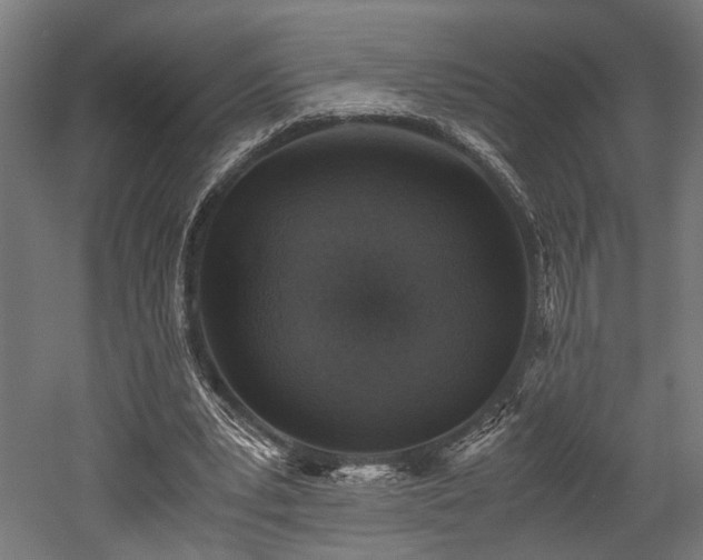 X0000052600391200507011202