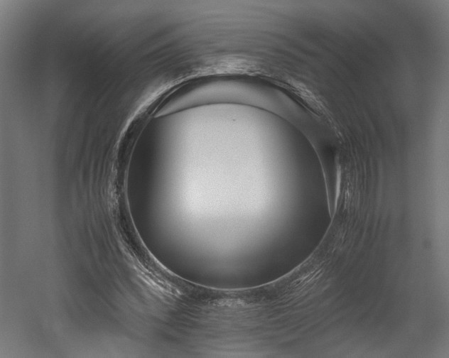 X0000052600392200507011202