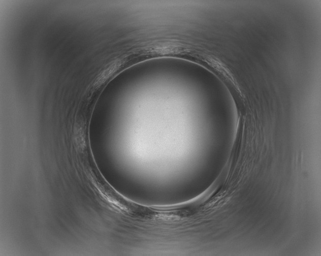 X0000052600393200507011202