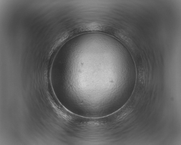 X0000052600394200507011202