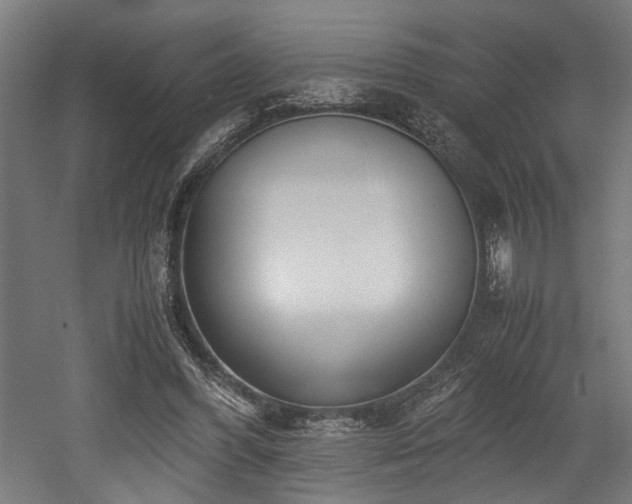 X0000052600396200507011202
