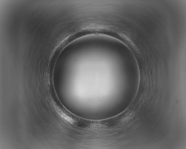 X0000052600399200507011202