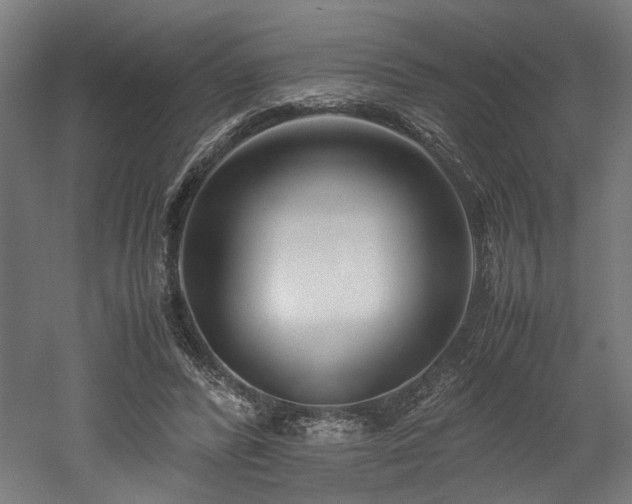 X0000052600400200507011202