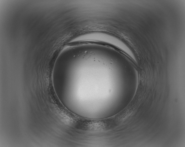 X0000052600402200507011202