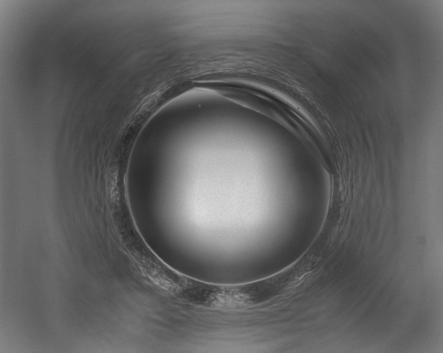 X0000052600403200507011202
