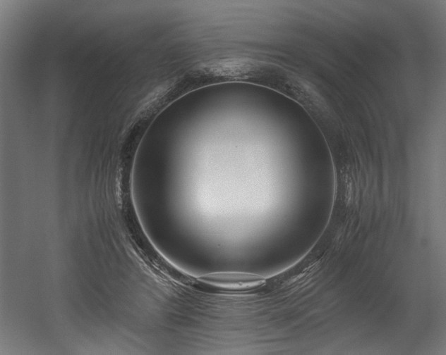 X0000052600404200507011202