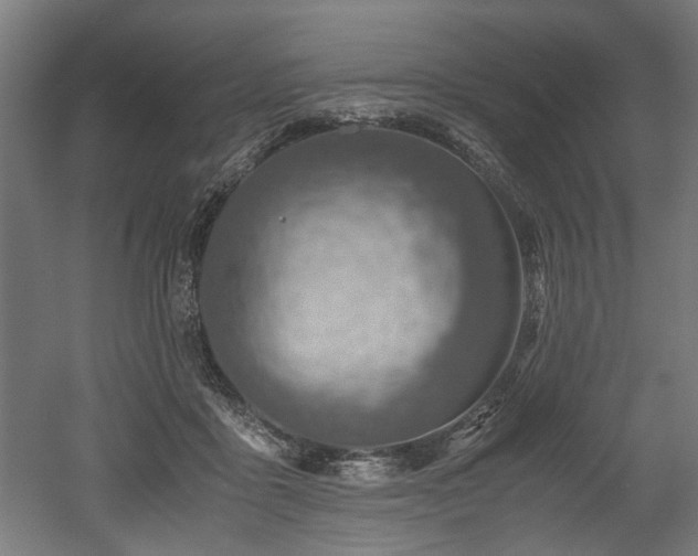 X0000052600411200507011202