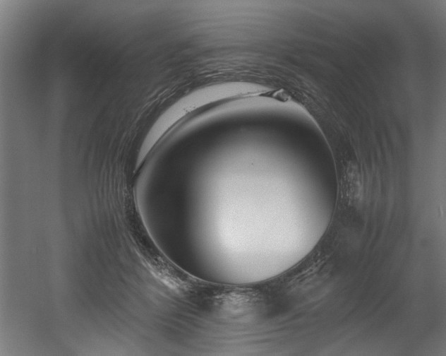 X0000052600412200507011202