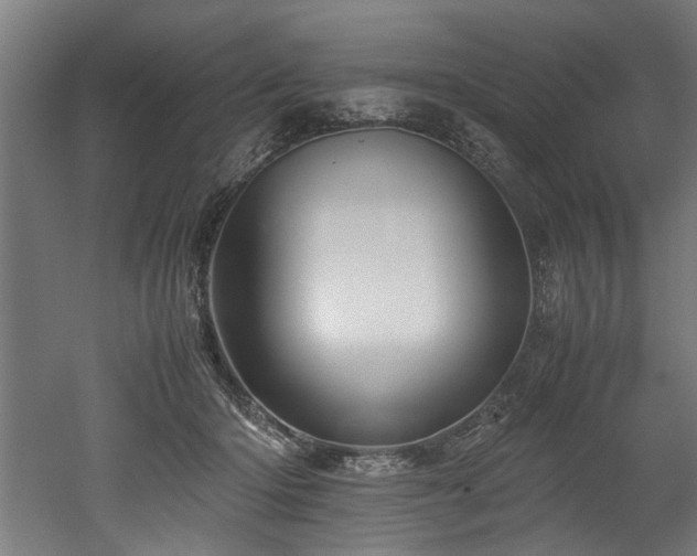 X0000052600414200507011202