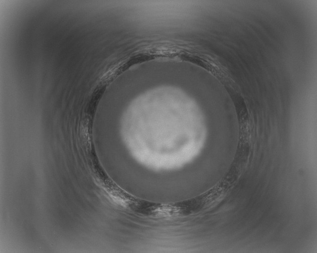 X0000052600415200507011202