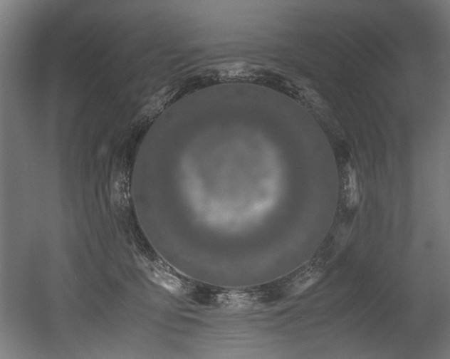 X0000052600419200507011202