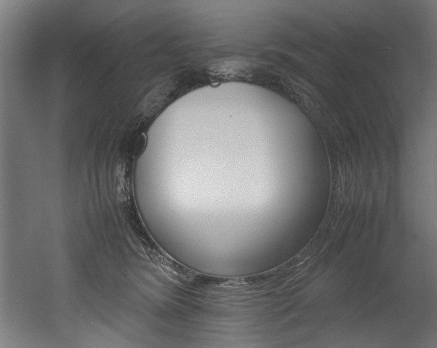 X0000052600420200507011202