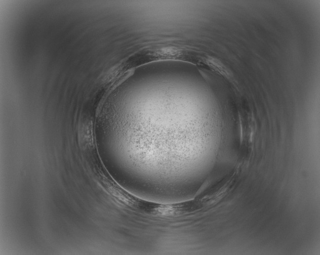 X0000052600425200507011201