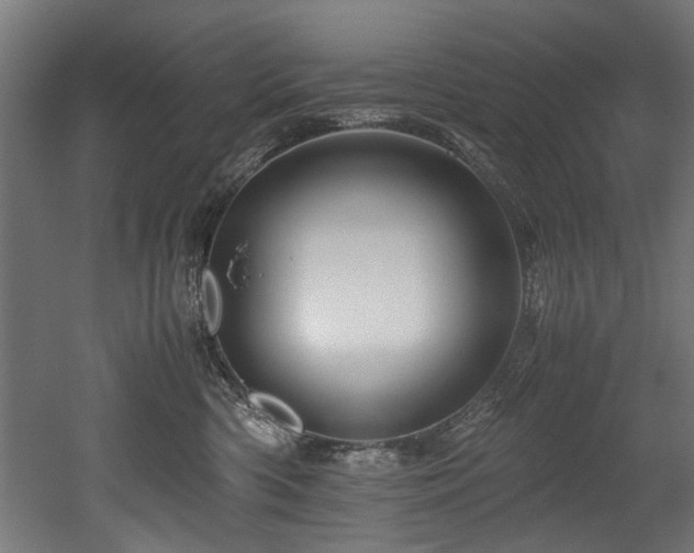 X0000052600426200507011201