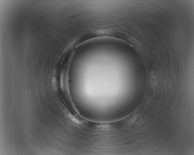 X0000052600428200507011201