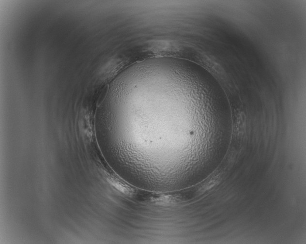 X0000052600430200507011201