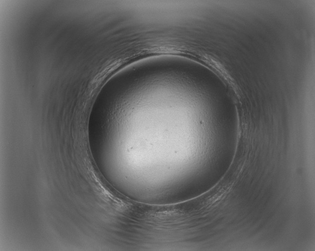 X0000052600433200507011200