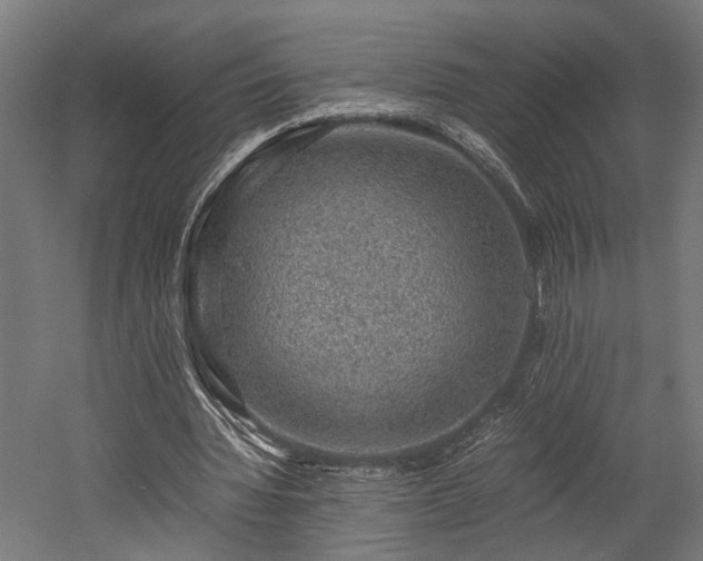 X0000052600436200507011201