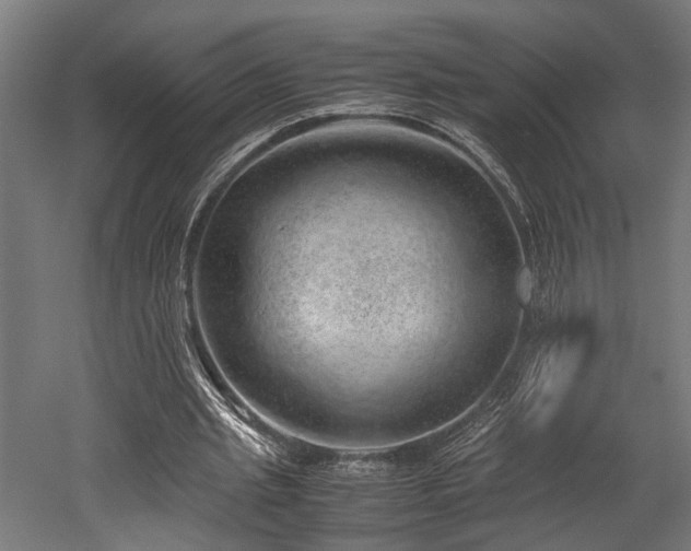 X0000052600437200507011201