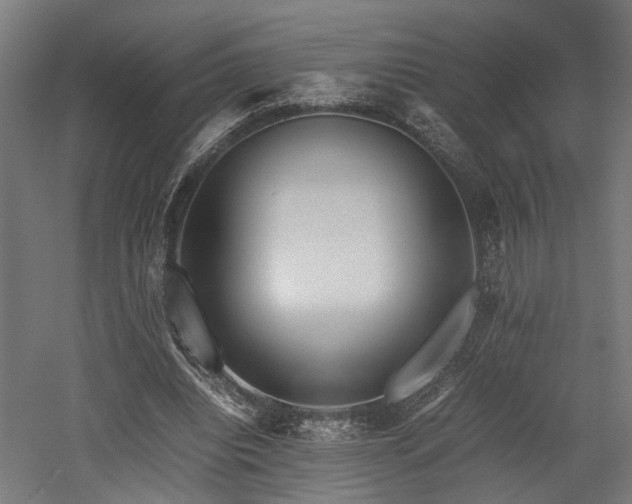 X0000052600440200507011201
