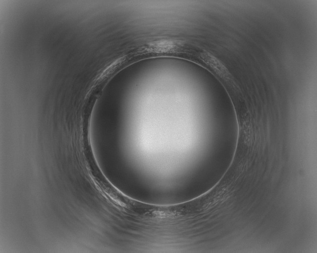 X0000052600442200507011201
