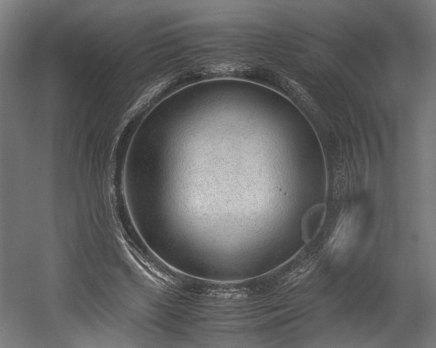 X0000052600443200507011201