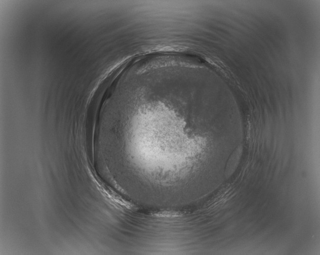 X0000052600444200507011201