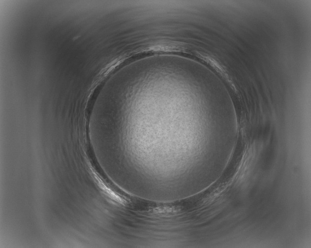 X0000052600445200507011201