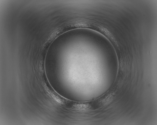 X0000052600449200507011201