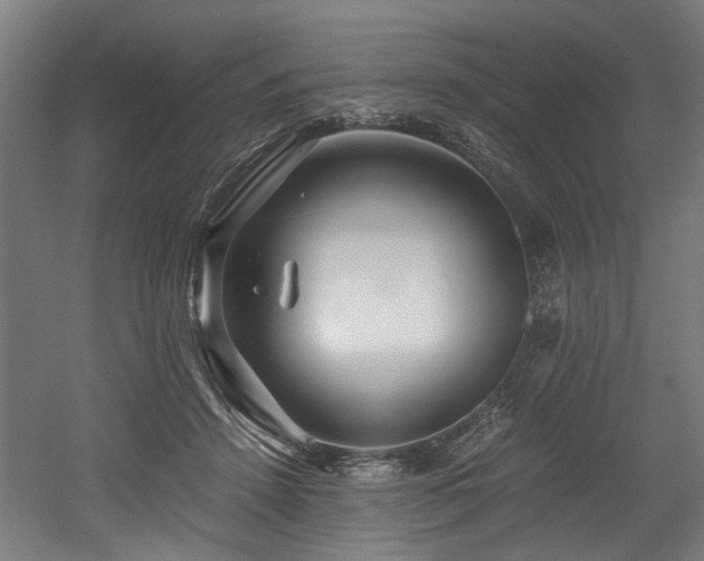 X0000052600456200507011201