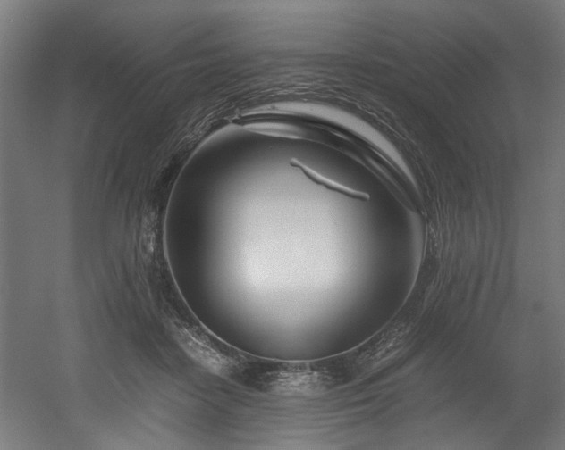X0000052600458200507011201