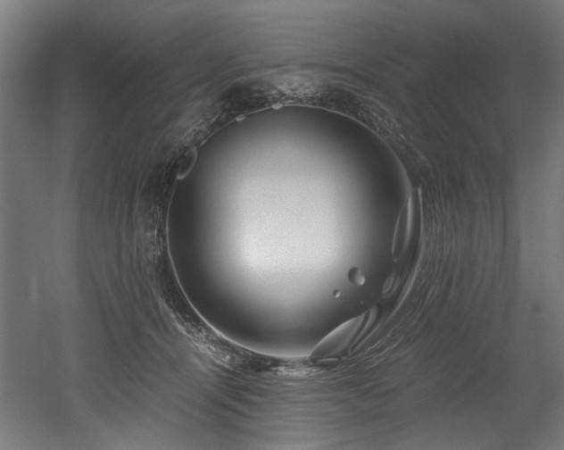 X0000052600464200507011201