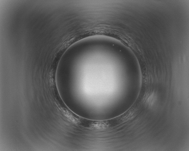 X0000052600466200507011201