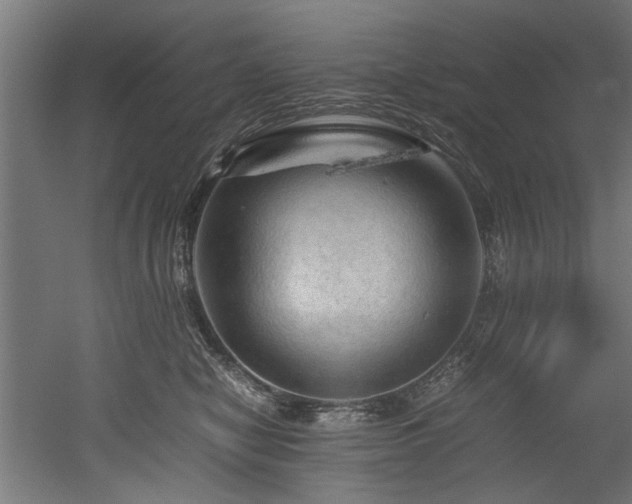 X0000052600470200507011201