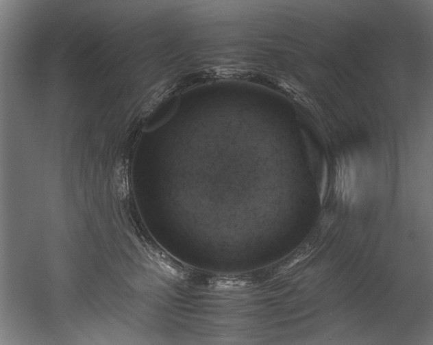 X0000052600471200507011201