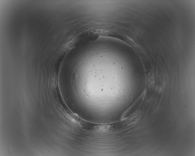 X0000052600474200507011201