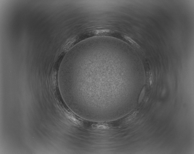 X0000052600475200507011201