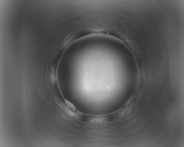 X0000052600479200507011201