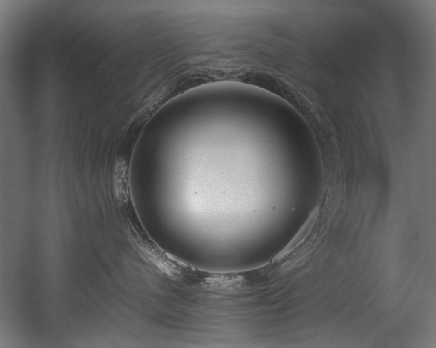 X0000052600480200507011201