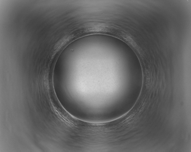 X0000052600482200507011200