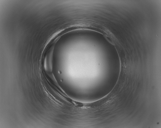 X0000052600484200507011200