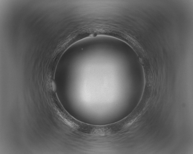X0000052600489200507011200