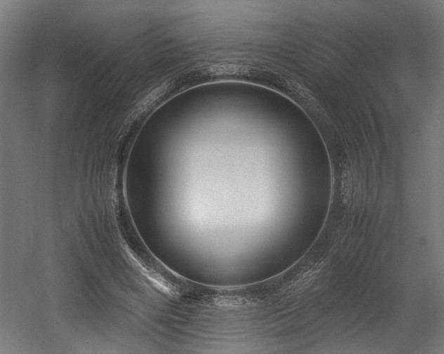 X0000052600490200507011200