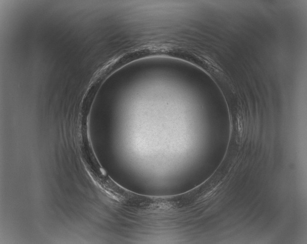 X0000052600492200507011200