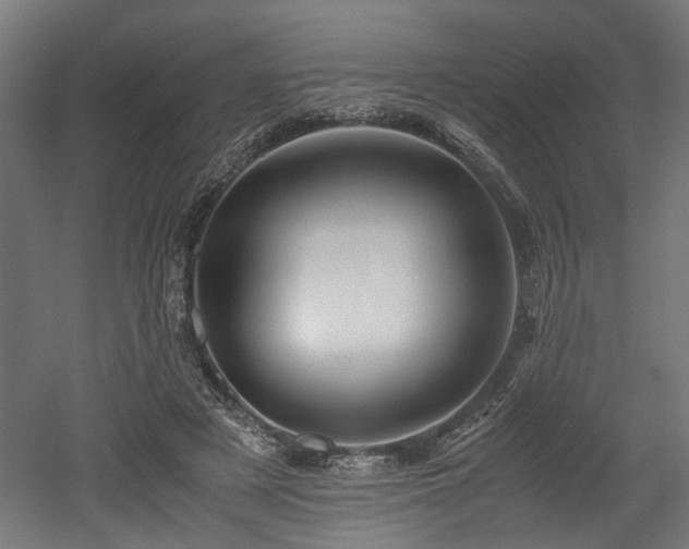 X0000052600497200507011200