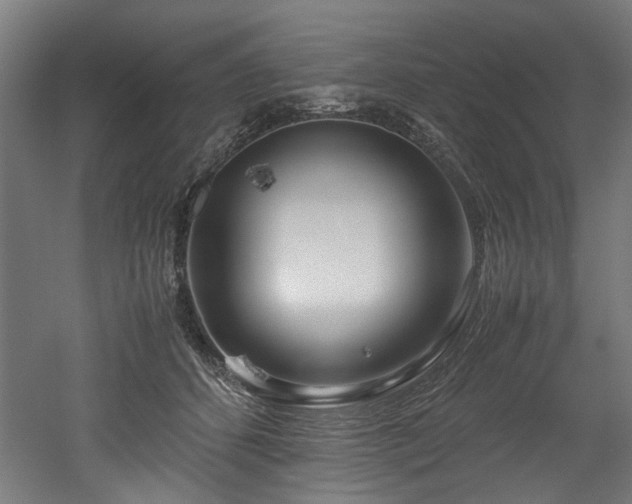 X0000052600512200507011200