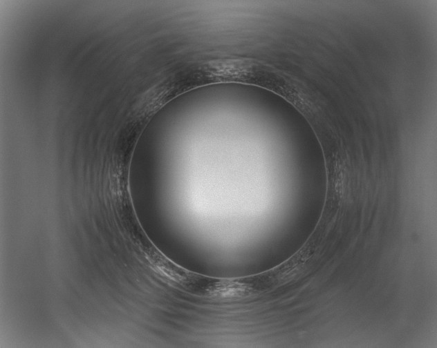 X0000052600514200507011200