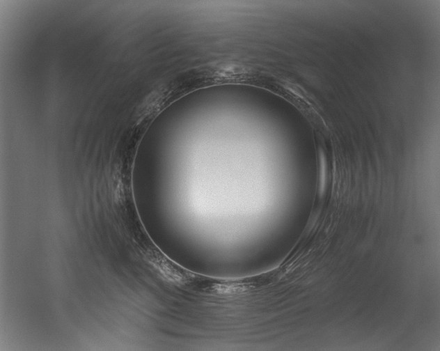 X0000052600520200507011200