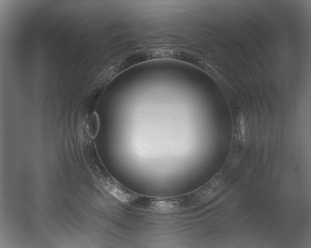 X0000052600522200507011200